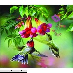 SunsOut Hummingbirds 25 Large Piece Jigsaw Puzzle  B0753RLM72